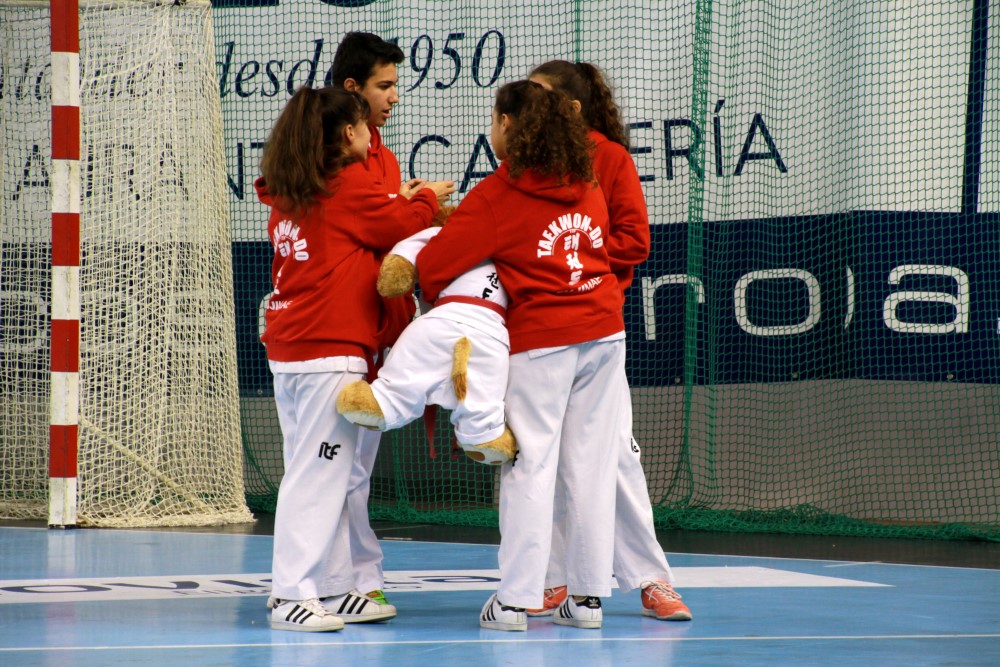 Taekwondo Dic 2016 (11).jpg